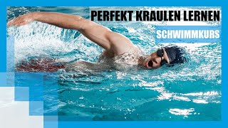 Schwimmkurs Perfekt Kraulen lernen  FIT FOR FUN [upl. by Den]