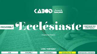 « Ecclésiaste »  LAncien Testament  La Sainte Bible audio VF Complète [upl. by Ardnahs]