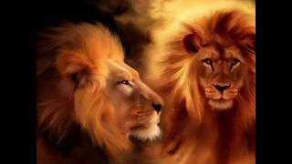 The Lion of Judah is Roaring [upl. by Suolevram]