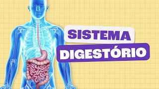 Sistema Digestório  Toda Matéria [upl. by Smiga]