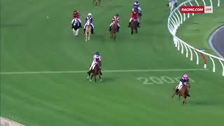 Moonee Valley Large Pony Race [upl. by Noyad]