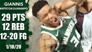 Giannis Antetokounmpo drops 29 and 12 on the Nets  201920 NBA Highlights [upl. by Raine]