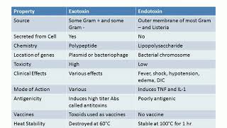 Exotoxin VS Endotoxin [upl. by Shannah246]