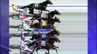 Fastest Triple Dead Heat in Harness Racing History [upl. by Harad]