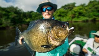 DEADLY PIRANHA Catch and Cook in the AMAZON Jungle EPIC [upl. by Netnilc]