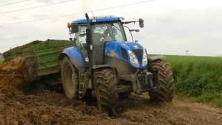 New Holland T6080 Wtopa przy wożeniu obornika [upl. by Lexie]