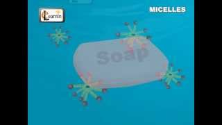 Soap Micelles Formation  Science [upl. by Rollet845]