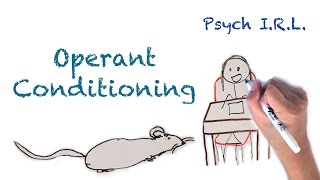 What is Operant Conditioning [upl. by Akemit894]