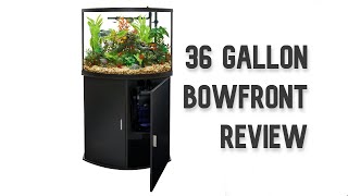 Top Fin 36g Bowfront Aquarium Review [upl. by Davena]