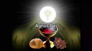 Agnus Dei with lyrics from Gregorian chant [upl. by Idnym608]