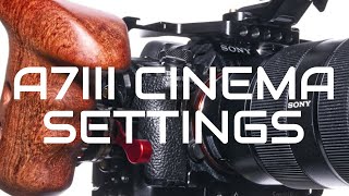 Sony A7III CINEMA  ALL settings for cinematic filmmaking FW 3102020 [upl. by Miki]