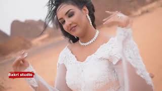 عرس سوداني  Sudanese wedding [upl. by Darce]