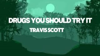 Travis Scott  Drugs You Should Try It Lyrics [upl. by Ohara]