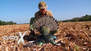 Turkey Hunting in Mexico [upl. by Reave370]