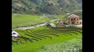 Sapa Tour Package From Hanoi by DeluxeVietnamTourscom [upl. by Hashum]