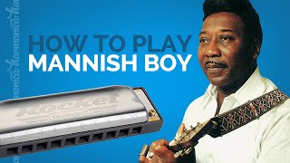 How To Play Manish Boy on Harmonica combined with Im A Man [upl. by Lajet658]