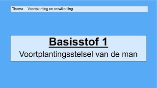 VMBO 3  Voortplanting en ontwikkeling  Basisstof 1 Het voortplantingsstelsel van de man [upl. by Tini871]