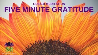 5 Minute Guided Meditation for Gratitude  Mindful Movement [upl. by Lynne309]