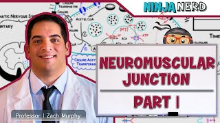 The Facial Nerve CN VII  Structure Function amp Major Branches [upl. by Marlen529]