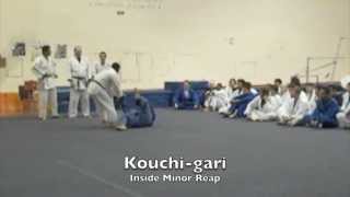 15 BASIC JUDO THROWS  LA VALLEY COLLEGE [upl. by Justen]