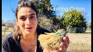 Planting Onion Sets  Tips amp Tricks 👩🏽‍🌾 [upl. by Gherardi47]