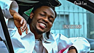 Omah Lay  Understand Official Music Video [upl. by Chloe]