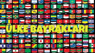 Dünya Bayrakları  1  Ülke Bayrakları  World Flags HD [upl. by Siramay628]