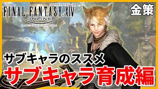 【FF14金策】金策のさらなる可能性！サブキャラ育成編！！！【パッチ55】 [upl. by Nwahsud]