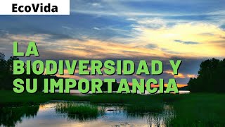 La BIODIVERSIDAD y su IMPORTANCIA 🐸 VIDEO EDUCATIVO 📚 [upl. by Emyle73]