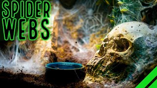 TOP 10 Heaviest Webbing Tarantulas BIG Spiders BIGGER Webs [upl. by Lachlan]