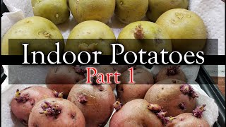 How To Grow Potatoes Indoors  Part 1 of 3 [upl. by Orazal]