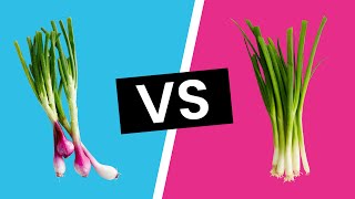 Spring Onion vs Green Onions  Whats the Difference [upl. by Lidda858]