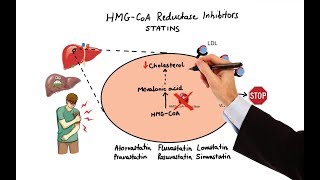 Pharmacology  DRUGS FOR HYPERLIPIDEMIA MADE EASY [upl. by Bainbridge]