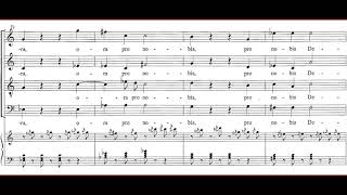 Wolfgang Amadeus Mozart  Regina coeli KV 276 [upl. by Ainigriv]