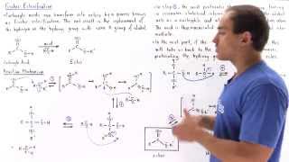 Fischer Esterification [upl. by Anayaran]