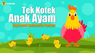 Lagu Anak Anak  Tek Kotek Anak Ayam [upl. by Auberon]