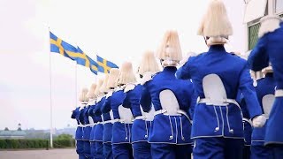 Swedish Military Parade [upl. by Desirea]