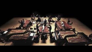 Steve Reich Music for 18 Musicians [upl. by Nnaid]