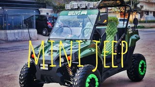 Mini Off Road Jeep 250cc Detail Review  Tayyab Mughal [upl. by Ellerehc808]