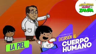 La piel  Excursión al cuerpo humano [upl. by Aleahpar]