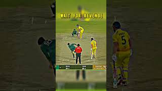 Revenge Moments  cricket short [upl. by Ynahteb982]