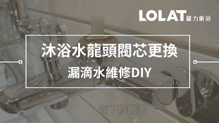 水龍頭漏水維修DIY－5分鐘更換浴室沐浴水龍頭閥芯 [upl. by Atrim]