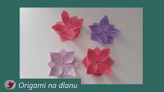 Origami Cvet Lotus [upl. by Mutz572]