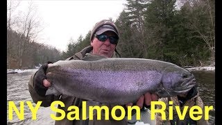 New Yorks Salmon River Steelhead [upl. by Lechner]