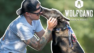 Martingale Dog Collar Review Wolfgang Man amp Beast [upl. by Tiraj227]