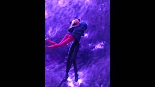 Fight Song  Miraculous Ladybug movie edit [upl. by Enitsirk]