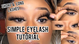 Beginner Eyelash Tutorial For ALL LENGTHS   HACKS [upl. by Naimerej602]