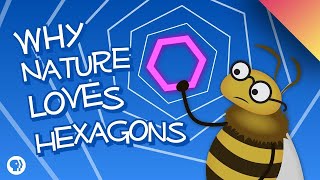 Why Nature Loves Hexagons [upl. by Heindrick328]