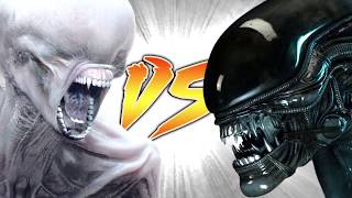 NEOMORPH VS XENOMORPH [upl. by Iney]