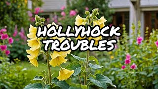 What Happened to My Hollyhocks [upl. by Aronas]